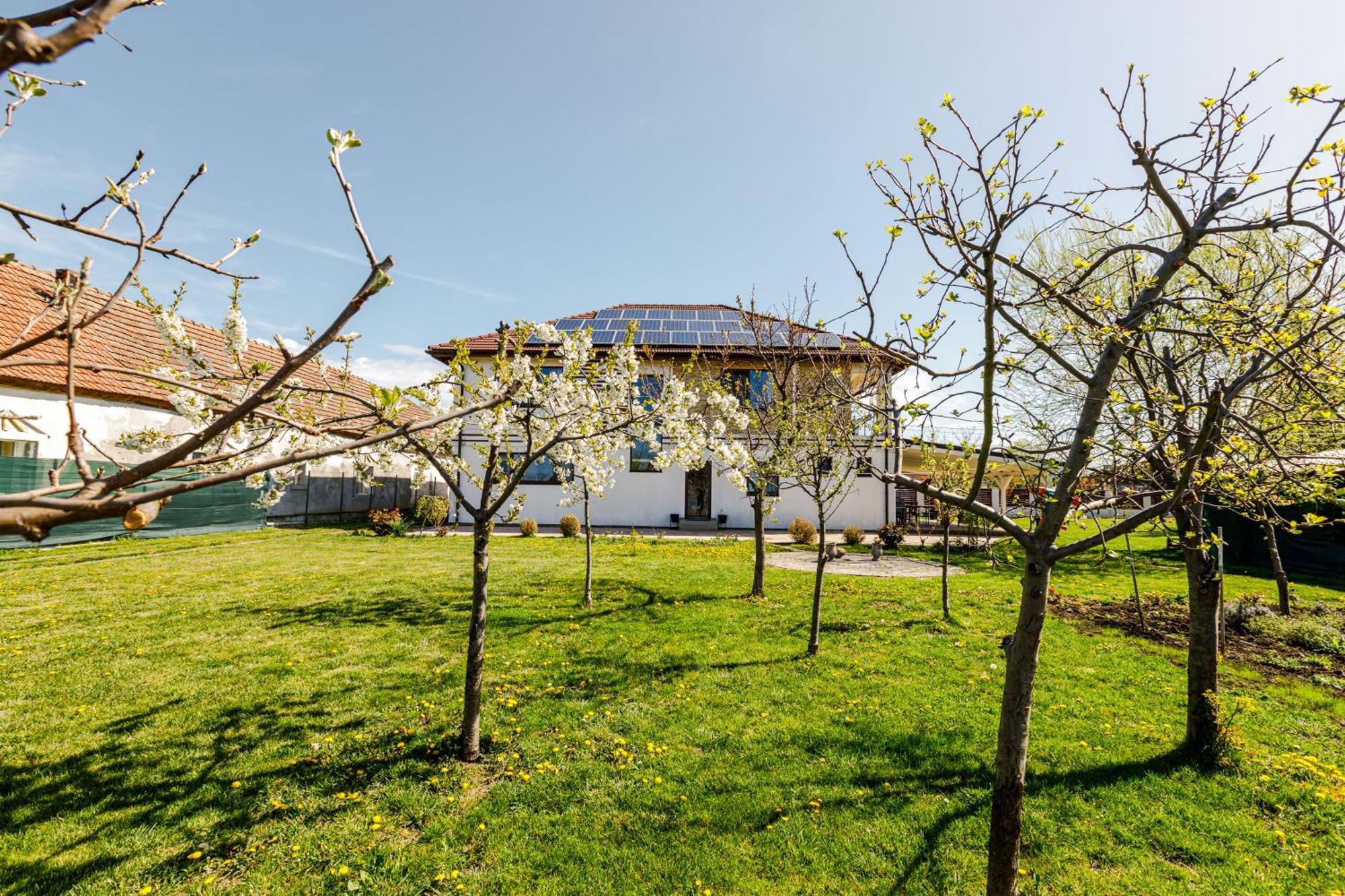 מלון טימישוארה Gasthaus Sacalaz מראה חיצוני תמונה
